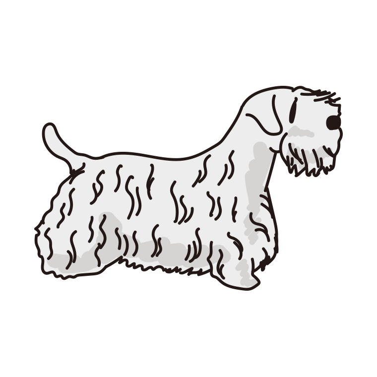 犬（シーリハムテリア）のイラスト【色あり、背景なし】透過PNG