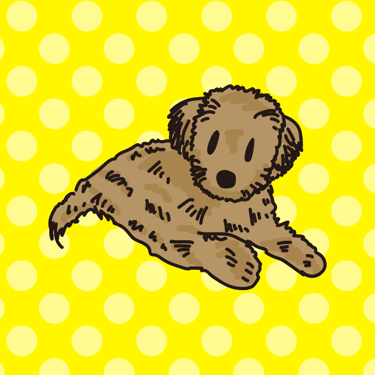 犬（マルプー）のイラスト【色、背景あり】PNG