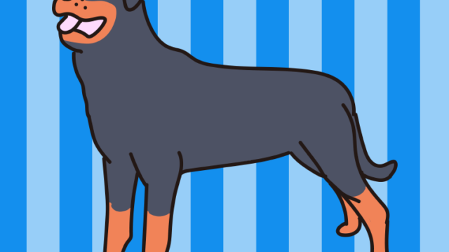 犬（ロットワイラー）のイラスト【色、背景あり】PNG