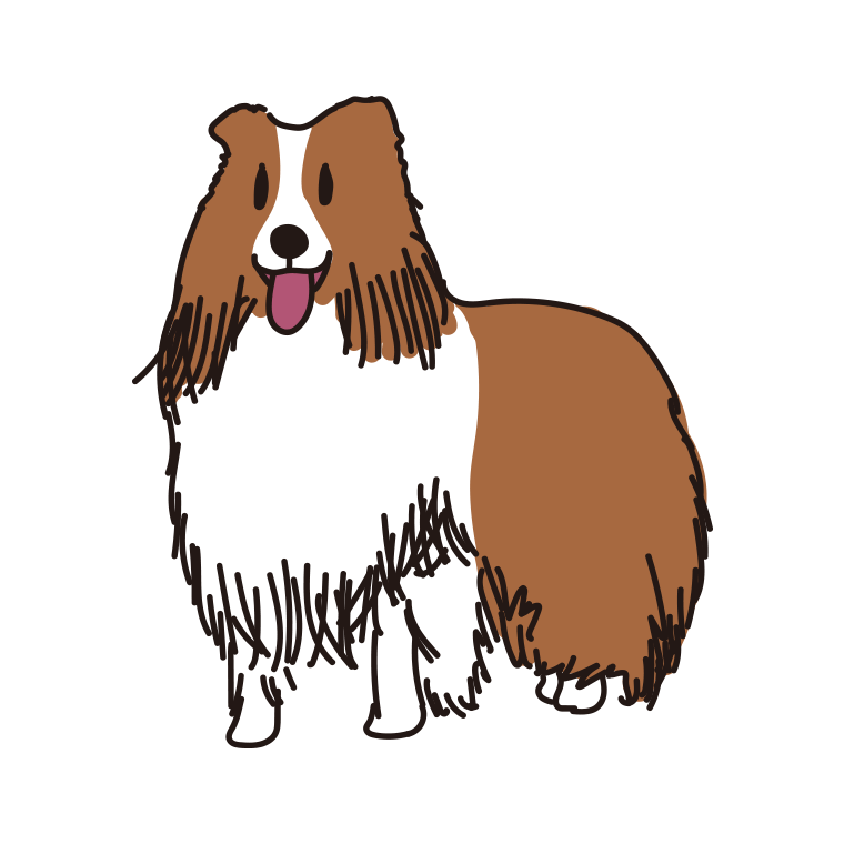 犬（シェットランドシープドッグ）のイラスト【色あり、背景なし】透過PNG