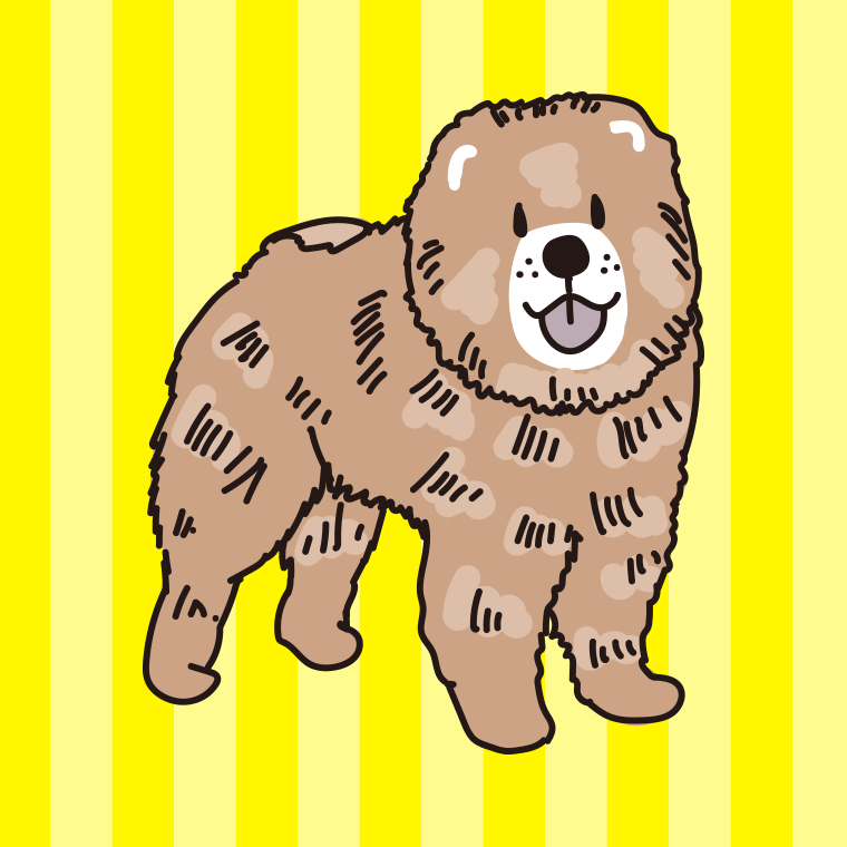 犬（チャウチャウ）のイラスト【色、背景あり】PNG