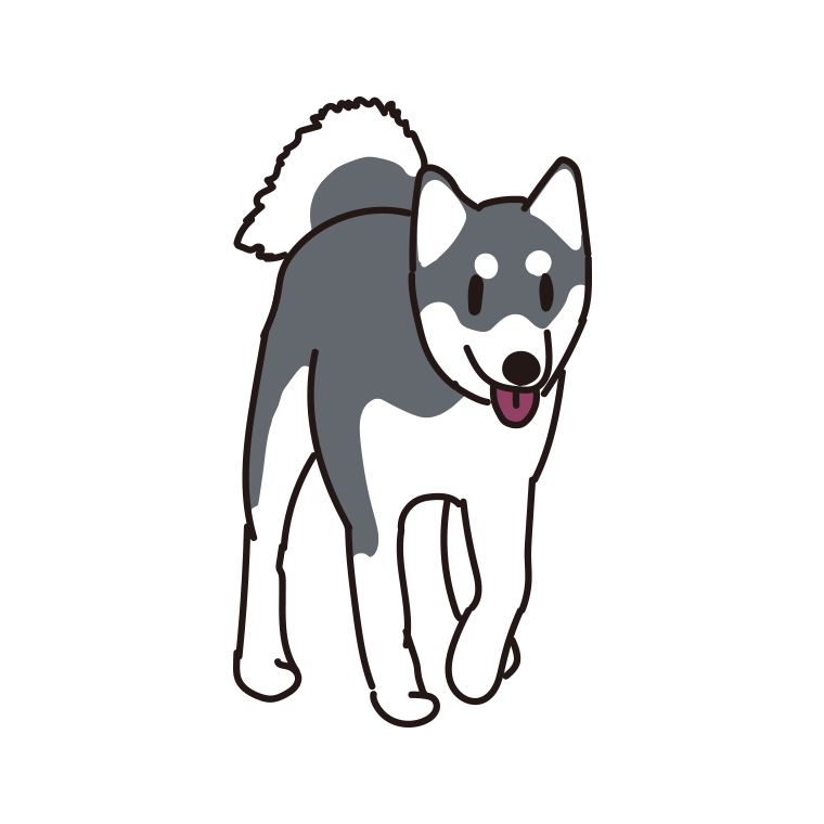 犬（ミニチュアシベリアンハスキー）のイラスト【色あり、背景なし】透過PNG