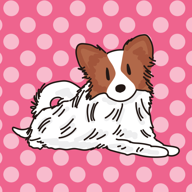 犬（パピヨン）のイラスト【色、背景あり】PNG