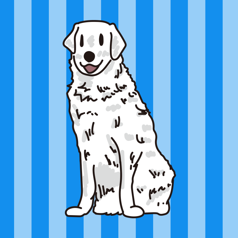 犬（クーバース）のイラスト【色、背景あり】PNG
