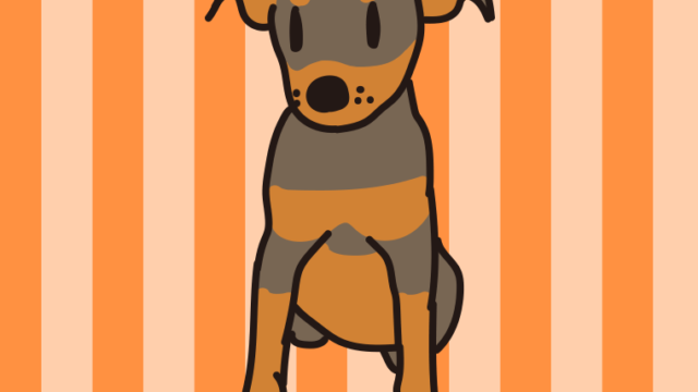 犬（チワピン）のイラスト【色、背景あり】PNG