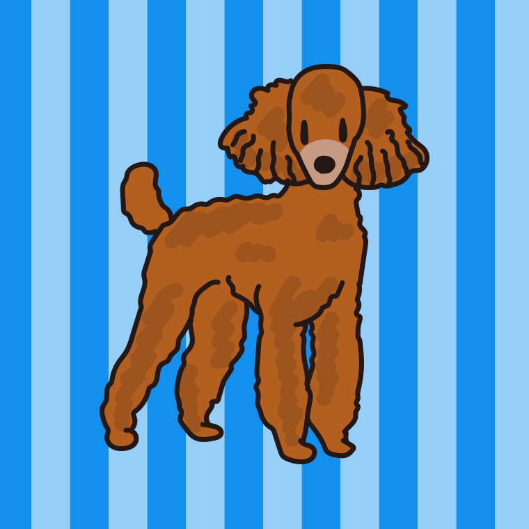 犬（ミニチュアプードル）のイラスト【色、背景あり】PNG