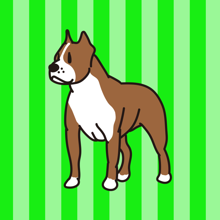 犬（アメリカンスタッフォードシャーテリア）のイラスト【色、背景あり】PNG