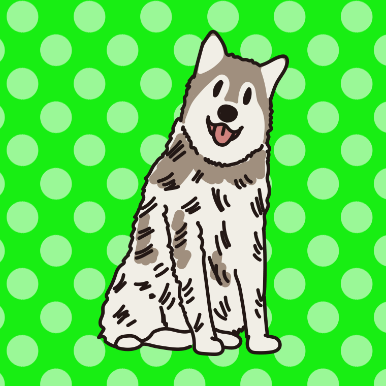 犬（アラスカンマラミュート）のイラスト【色、背景あり】PNG