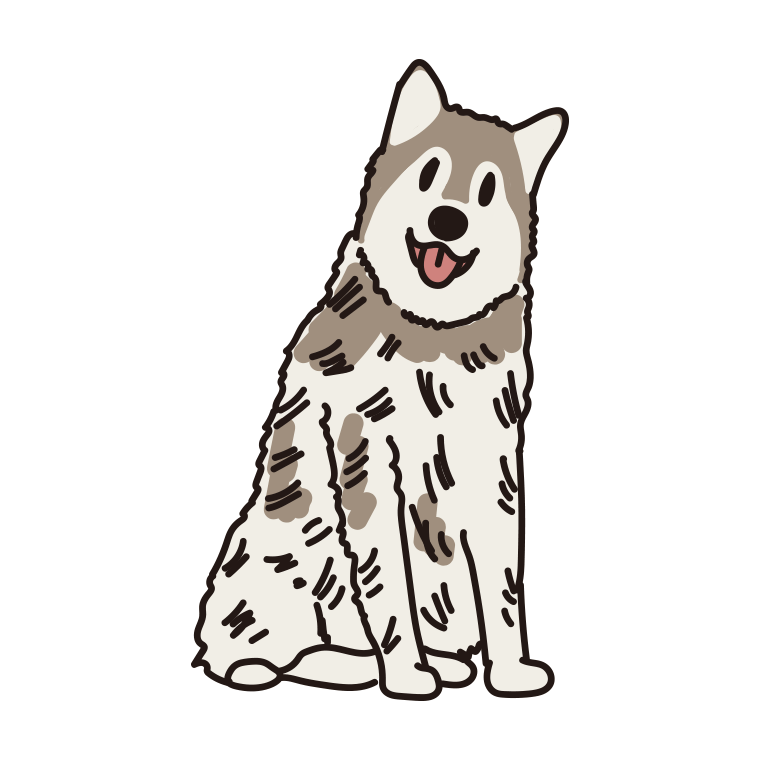 犬（アラスカンマラミュート）のイラスト【色あり、背景なし】透過PNG