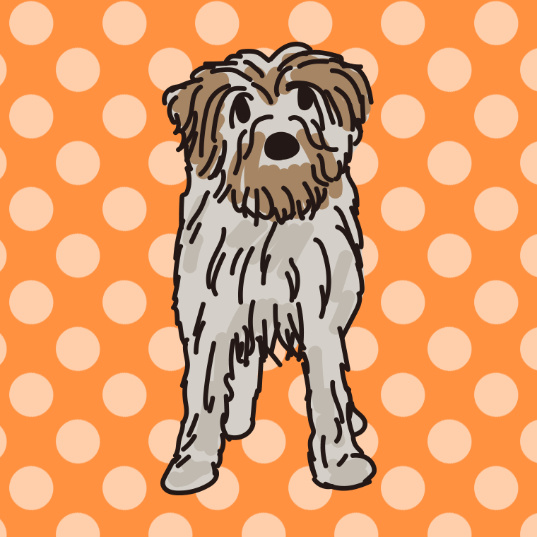 フリー素材 犬 クロムフォルレンダー のイラスト かわいい無料イラスト素材なら ポンコツイラストクラブ
