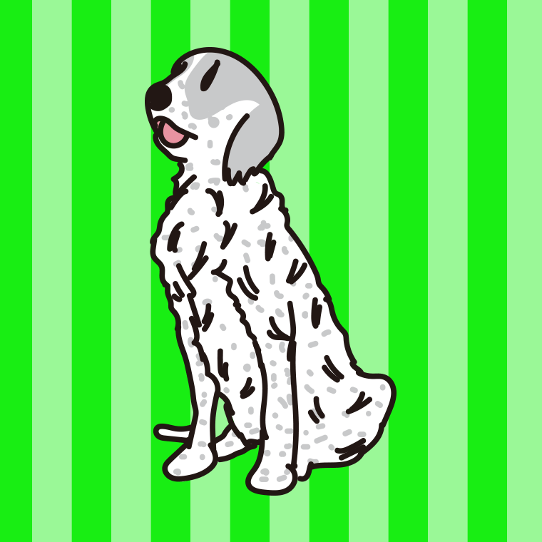 犬（イングリッシュセッター）のイラスト【色、背景あり】PNG
