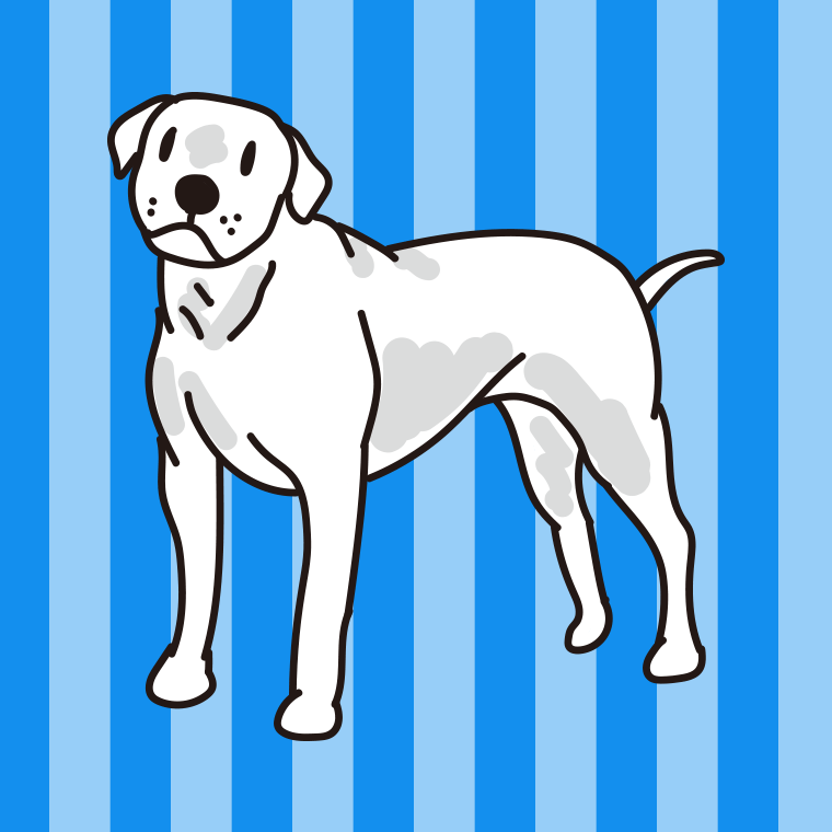 犬（ドゴアルヘンティーノ）のイラスト【色、背景あり】PNG