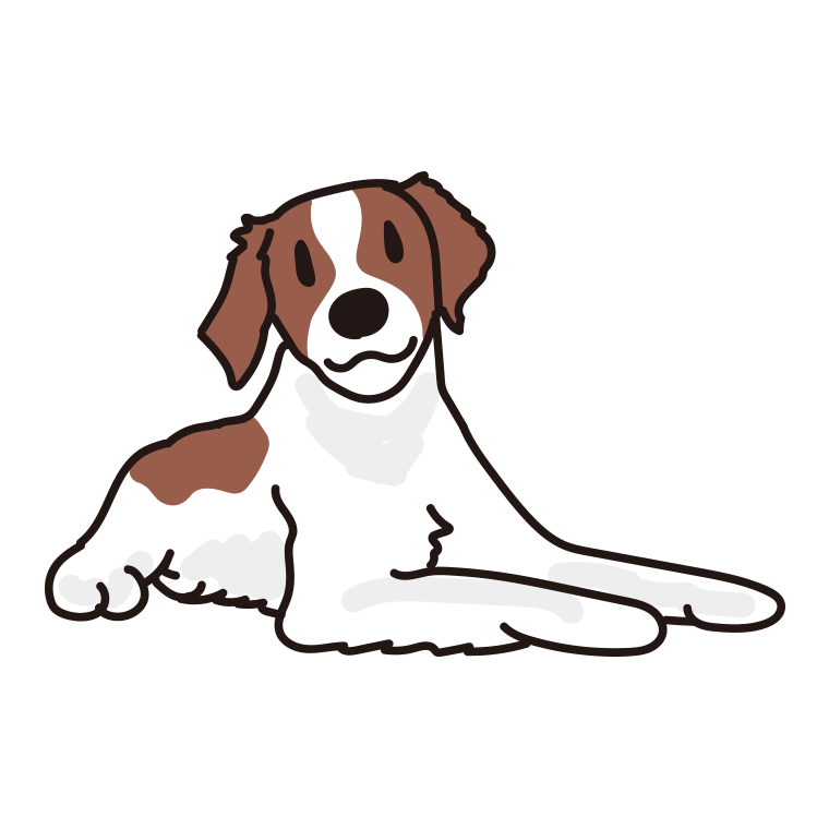 犬（ブリタニースパニエル）のイラスト【色あり、背景なし】透過PNG