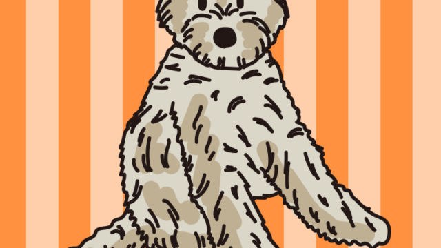 犬こデジタルイラスト 『春をまとうゴールデン』 sozai_395_01-640x360.png