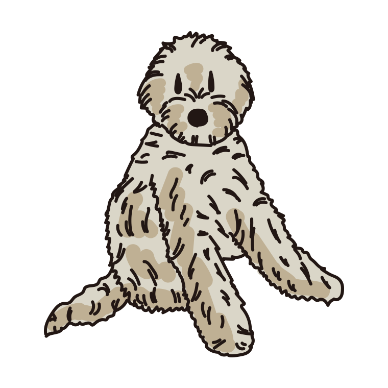 犬（ゴールデンドゥードル）のイラスト【色あり、背景なし】透過PNG