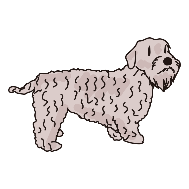 犬（シーリハムテリア）のイラスト【色あり、背景なし】透過PNG