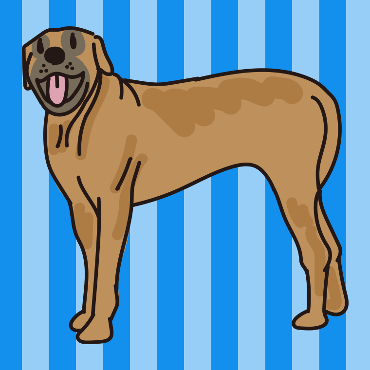 犬（土佐闘犬）のイラスト【色、背景あり】PNG