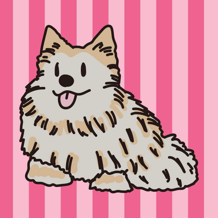 犬（ウェルシュシープドッグ）のイラスト【色、背景あり】PNG