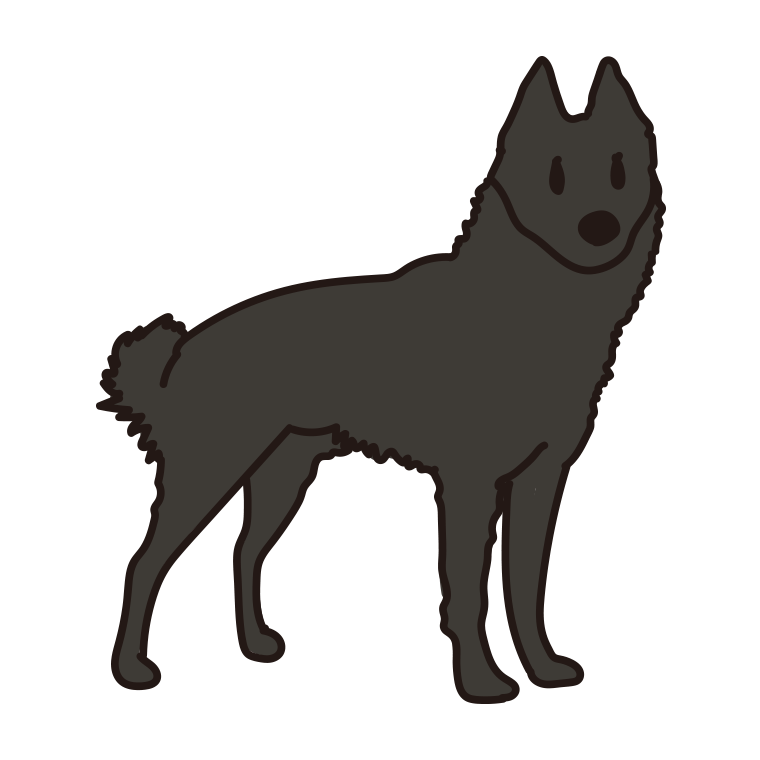 犬（スキッパーキ）のイラスト【色あり、背景なし】透過PNG
