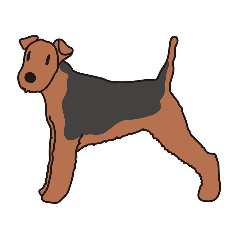 犬（ウェルシュテリア）のイラスト【色あり、背景なし】透過PNG