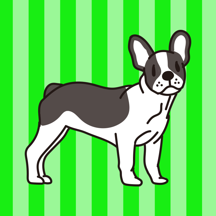 犬（フレンチブルドッグ）のイラスト【色、背景あり】PNG