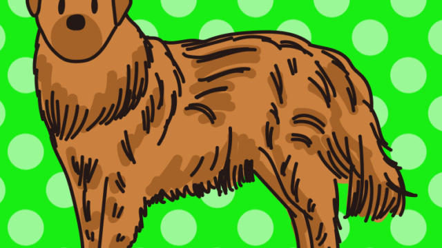 犬（エストレラマウンテンドッグ）のイラスト【色、背景あり】PNG