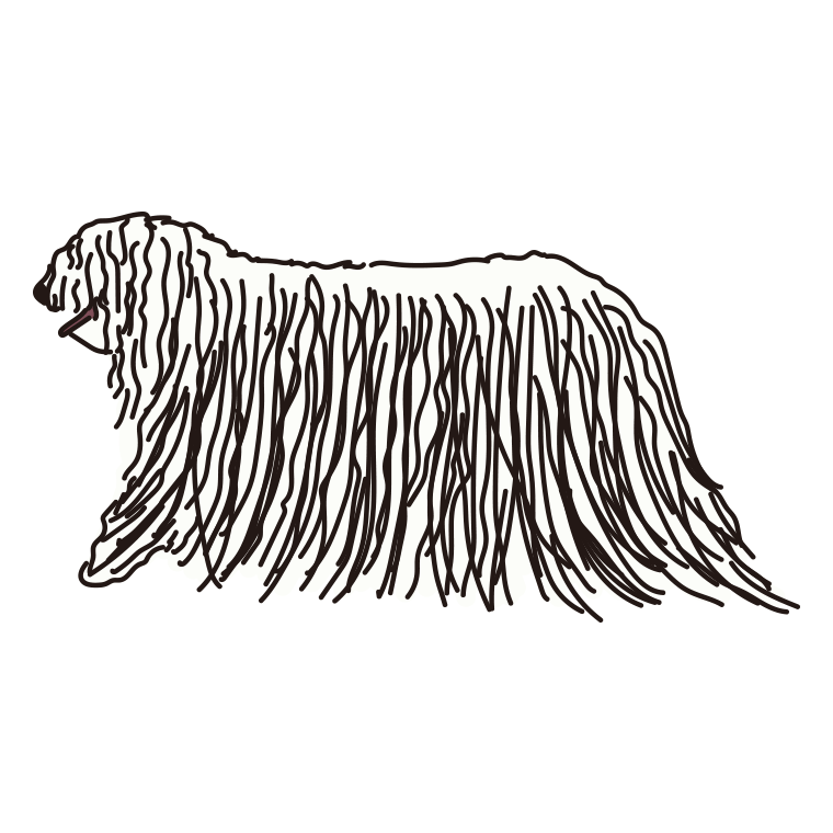 犬（コモンドール）のイラスト【色あり、背景なし】透過PNG