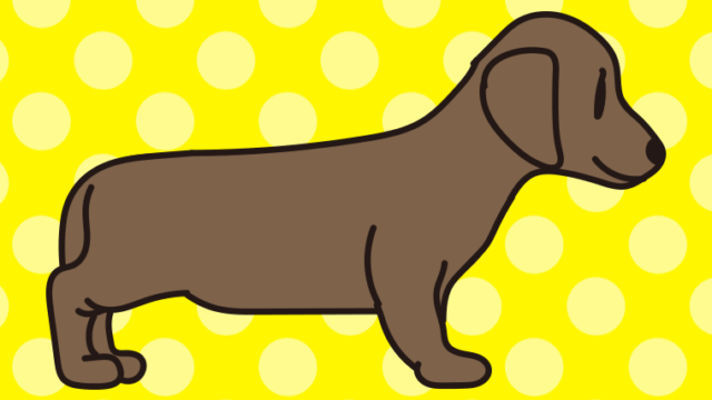 犬（スタンダードダックスフンド）のイラスト【色、背景あり】PNG