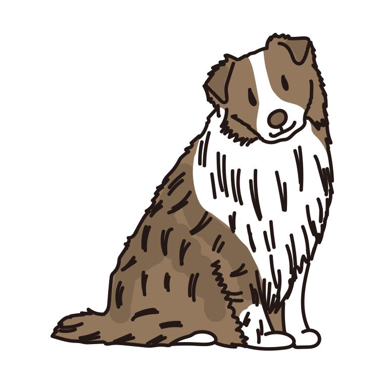 犬（オーストラリアンシェパード）のイラスト【色あり、背景なし】透過PNG