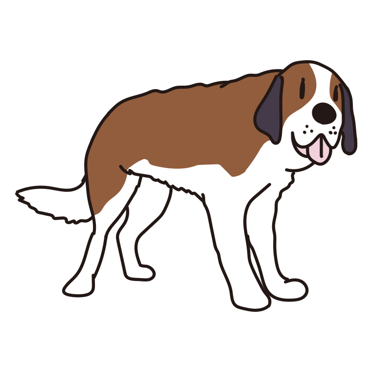 犬（セントバーナード）のイラスト【色あり、背景なし】透過PNG