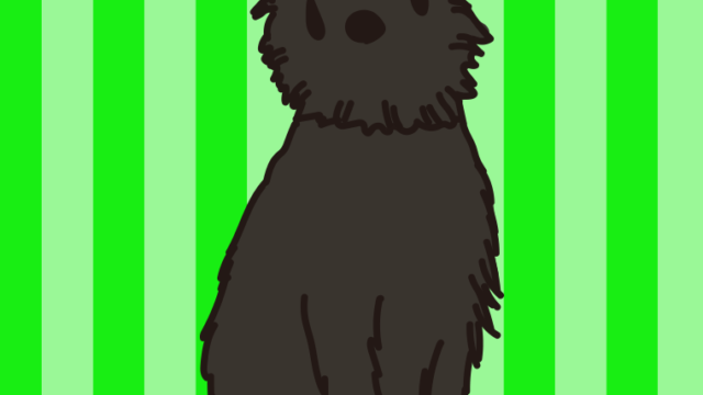 犬（ベルジアングリフォン）のイラスト【色、背景あり】PNG