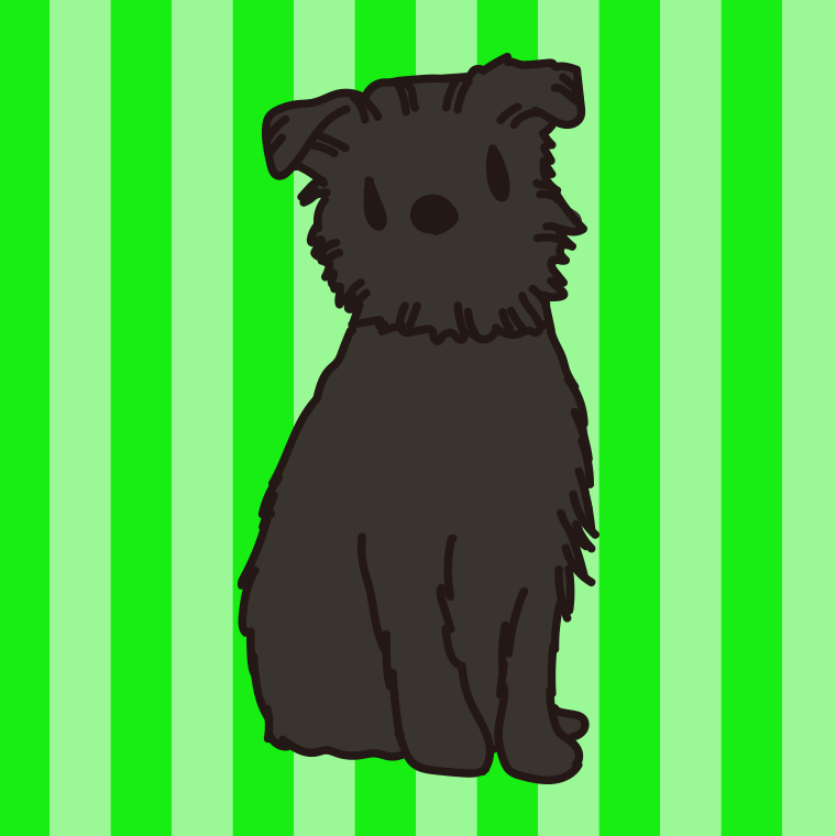 犬（ベルジアングリフォン）のイラスト【色、背景あり】PNG