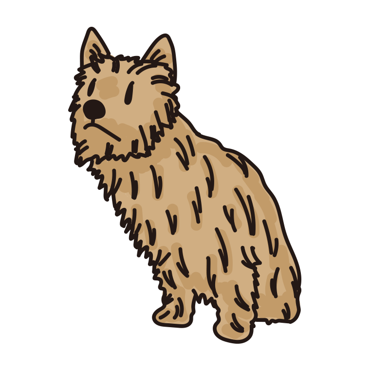 犬（オーストラリアンテリア）のイラスト【色あり、背景なし】透過PNG