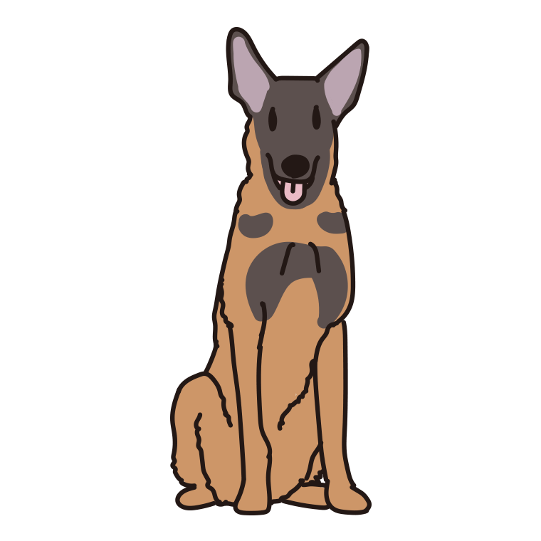 犬（ベルジアンマリノア）のイラスト【色あり、背景なし】透過PNG