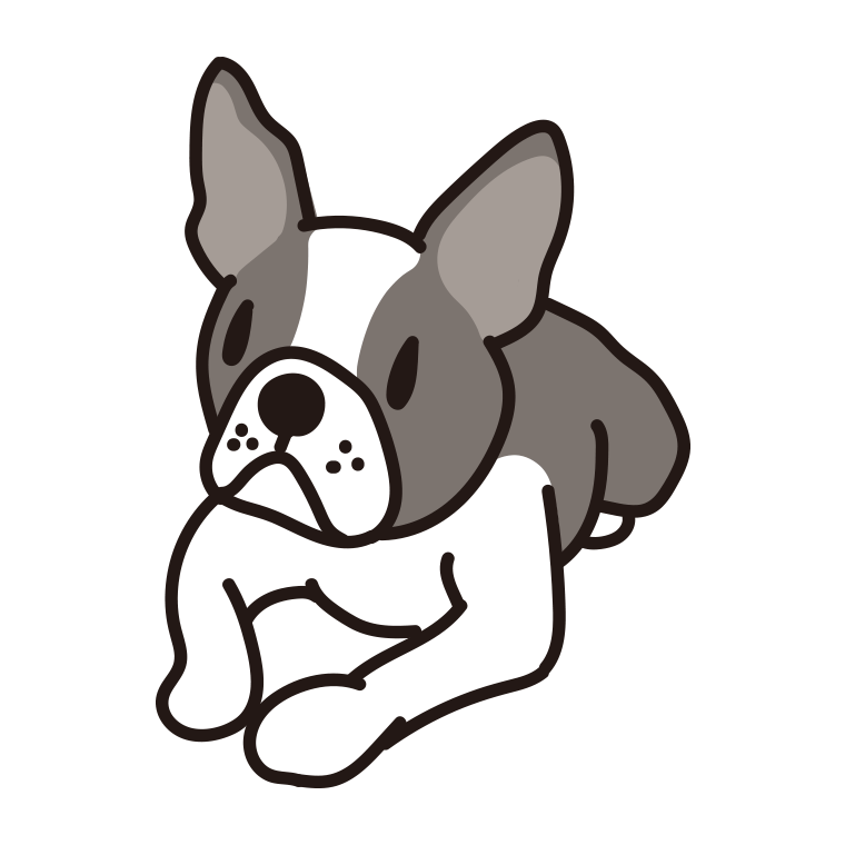 犬（ボストンテリア）のイラスト【色あり、背景なし】透過PNG