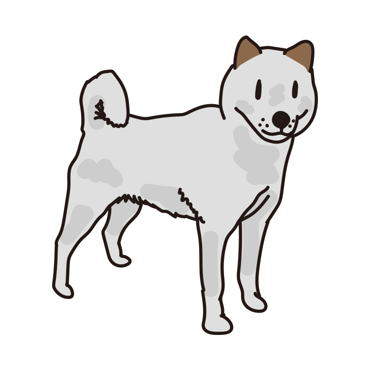 犬（北海道犬）のイラスト【色あり、背景なし】透過PNG