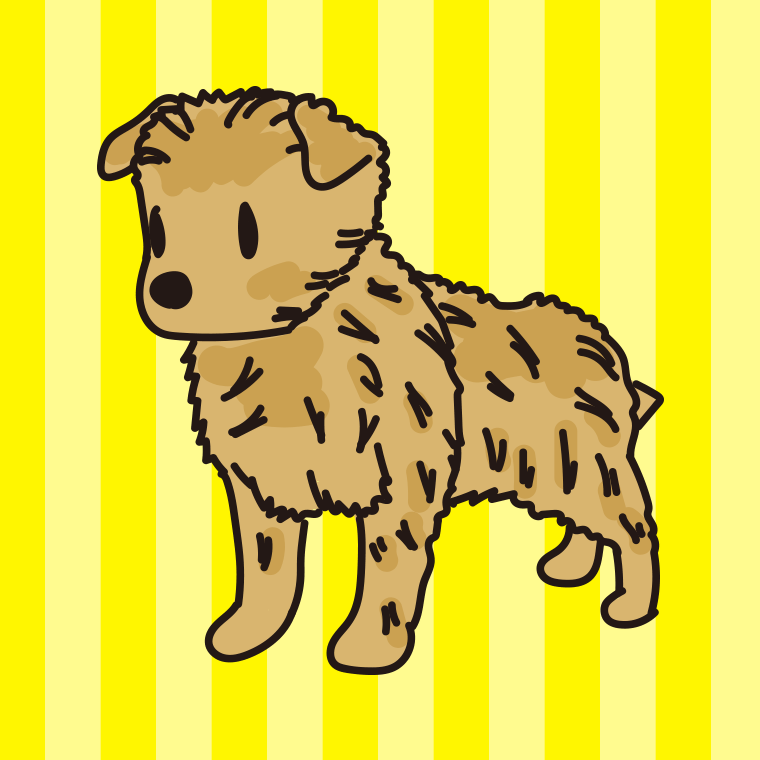 犬（ポメキー）のイラスト【色、背景あり】PNG