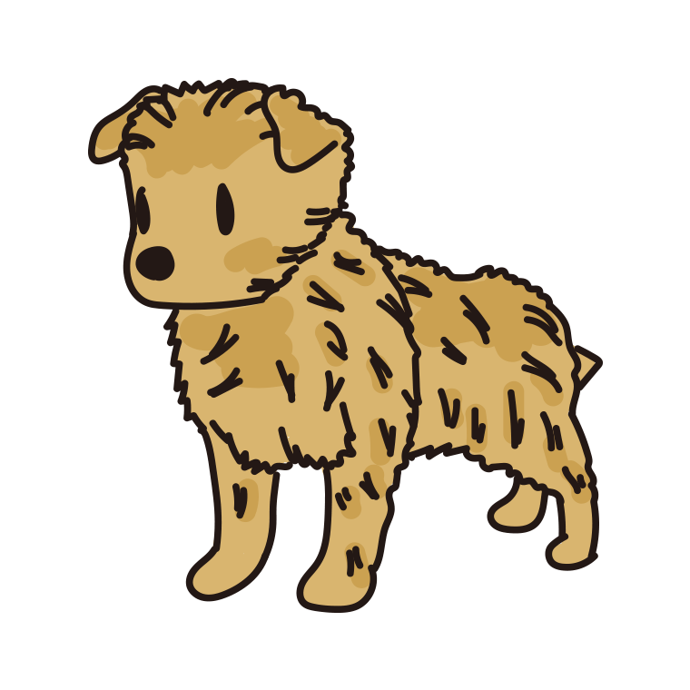 犬（ポメキー）のイラスト【色あり、背景なし】透過PNG