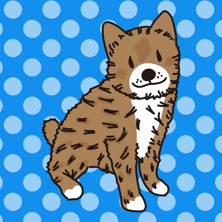 犬（ポメ柴）のイラスト【色、背景あり】PNG