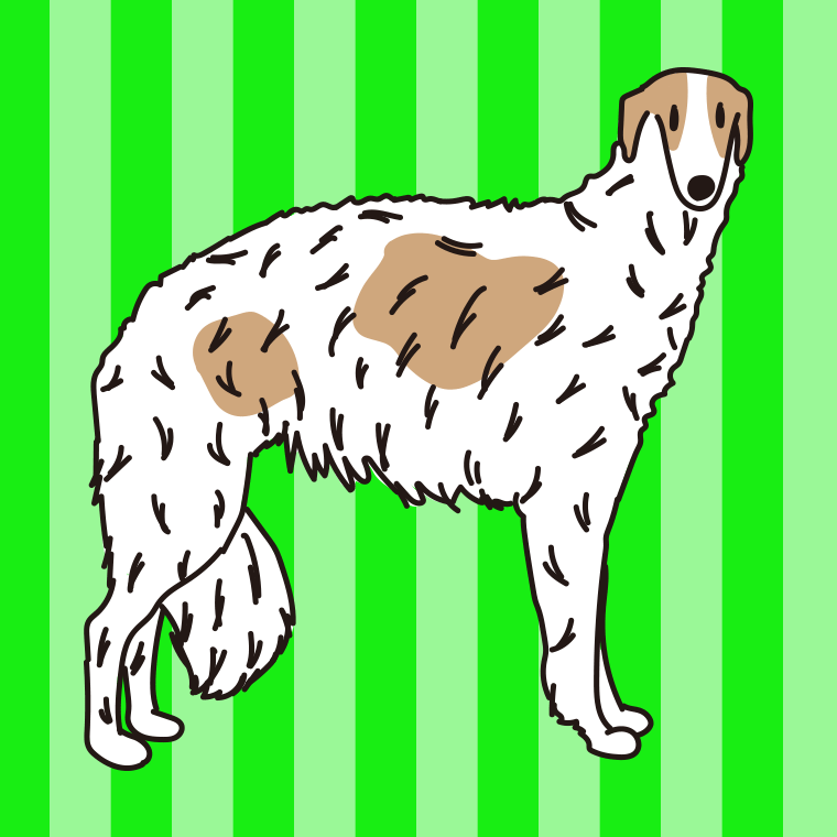 犬（ボルゾイ）のイラスト【色、背景あり】PNG