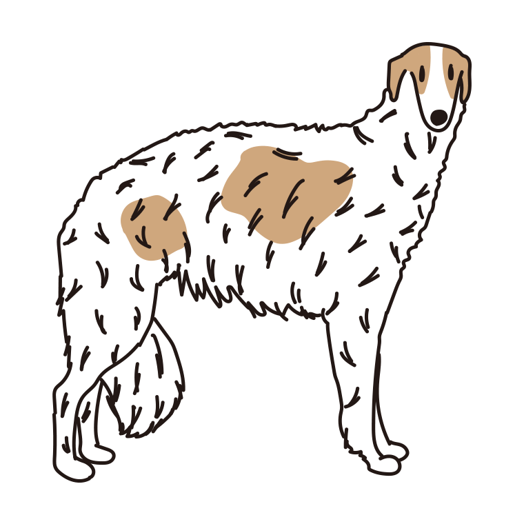 犬（ボルゾイ）のイラスト【色あり、背景なし】透過PNG