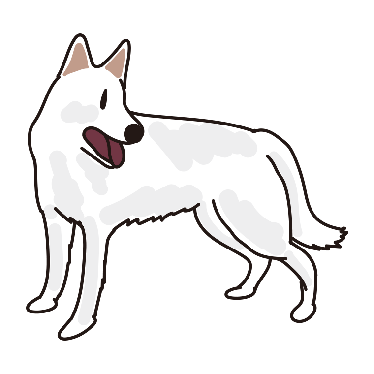 犬（ホワイトシェパード）のイラスト【色あり、背景なし】透過PNG