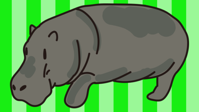 カバのイラスト【色、背景あり】PNG