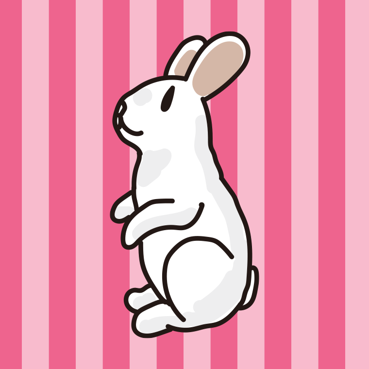 ウサギのイラスト【色、背景あり】PNG