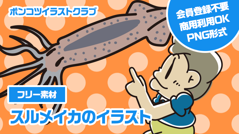 【フリー素材】スルメイカのイラスト