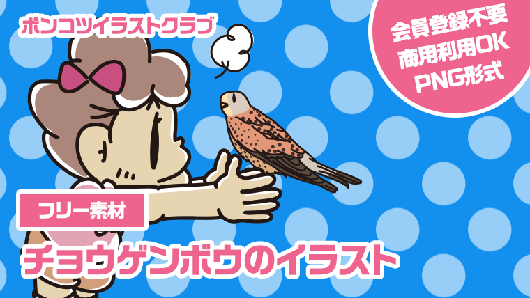 【フリー素材】チョウゲンボウのイラスト