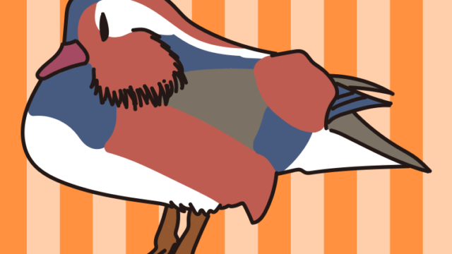 オシドリのイラスト【色、背景あり】PNG