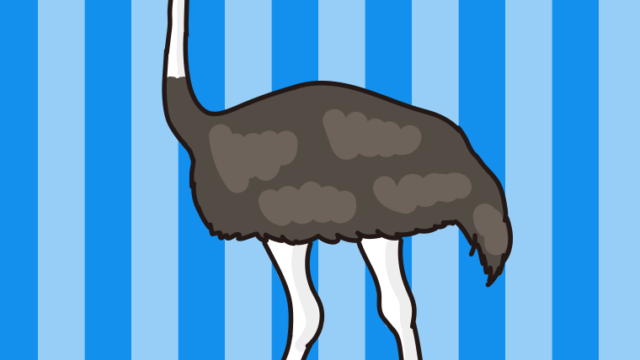 ダチョウのイラスト【色、背景あり】PNG