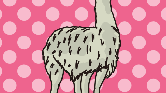 ラマのイラスト【色、背景あり】PNG