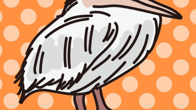 モモイロペリカンのイラスト【色、背景あり】PNG